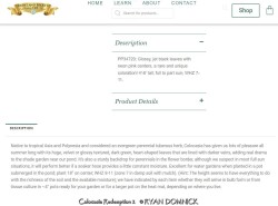 product-details