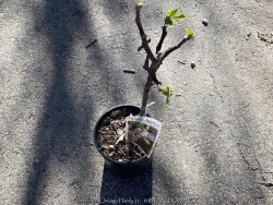 product-details