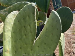 product-details